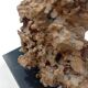 Organic Sculpture Brutalist Modernist Midcentury Gilded Bronze Casting