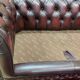 Pair of 2-seater leather Chesterfield sofas from the 1990s by Thomas LLOYD