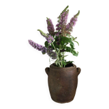 Vase Terracotta pot two handles handcrafted