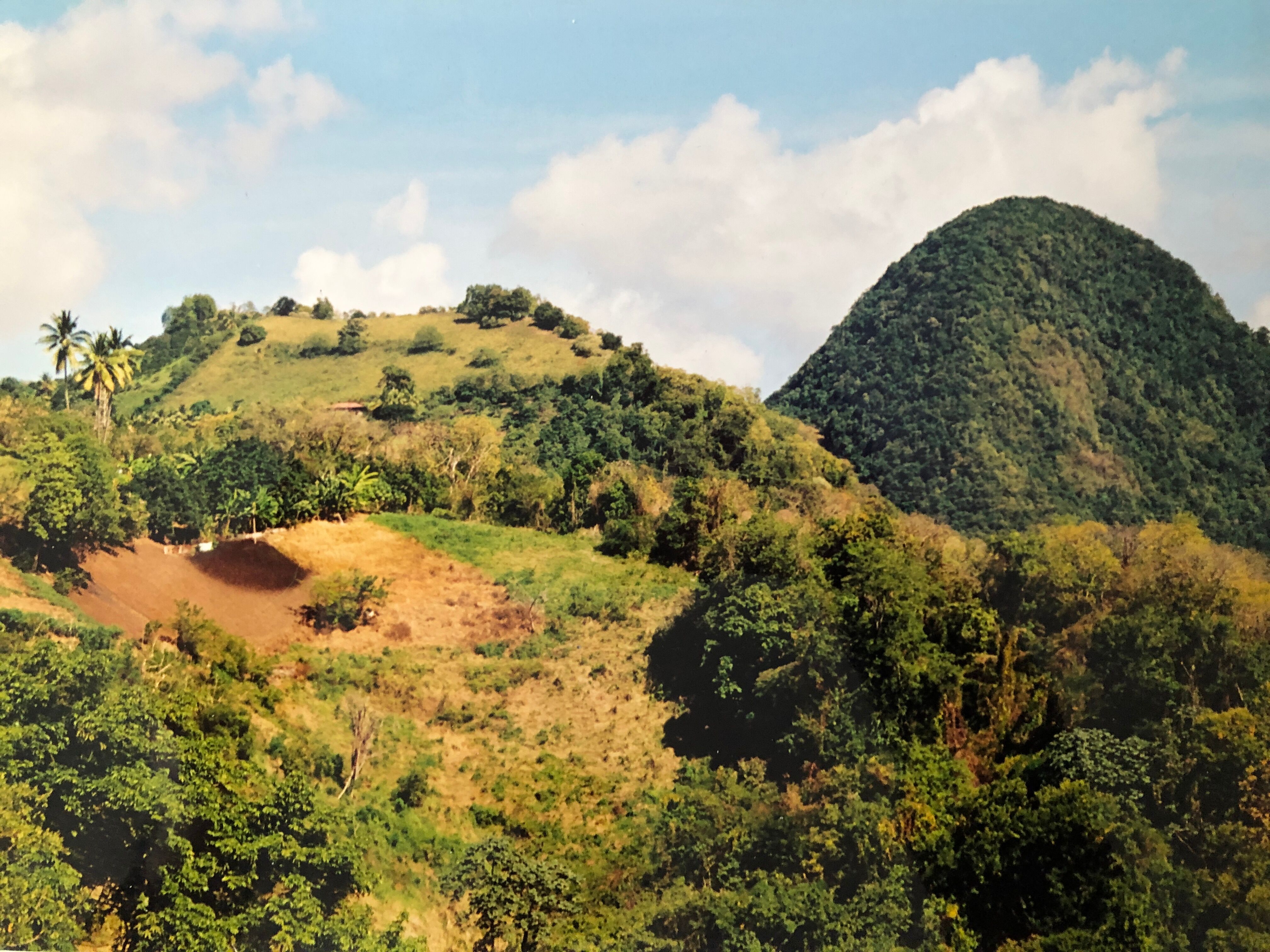 Photo Couleur Paysage Tropical