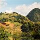 Photo Couleur Paysage Tropical