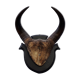 Buffalo massacre trophy