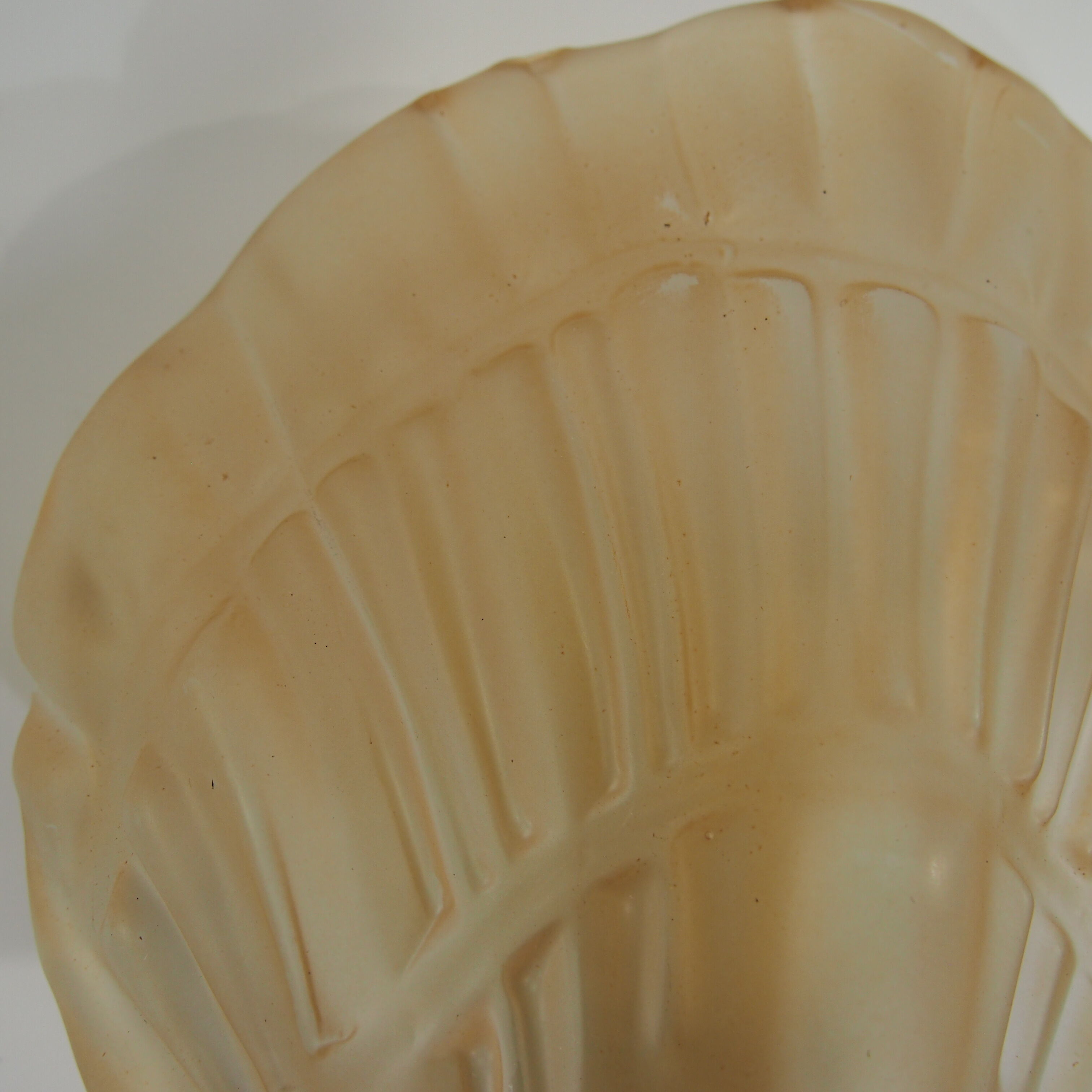Wall shell sconce