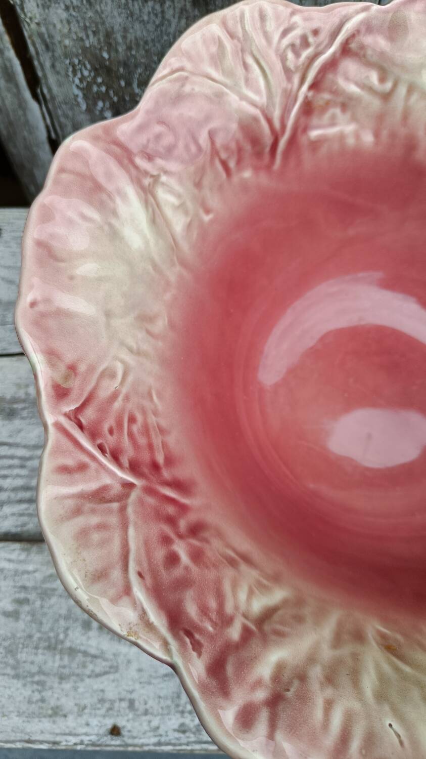 Pink cabbage slip salad bowl