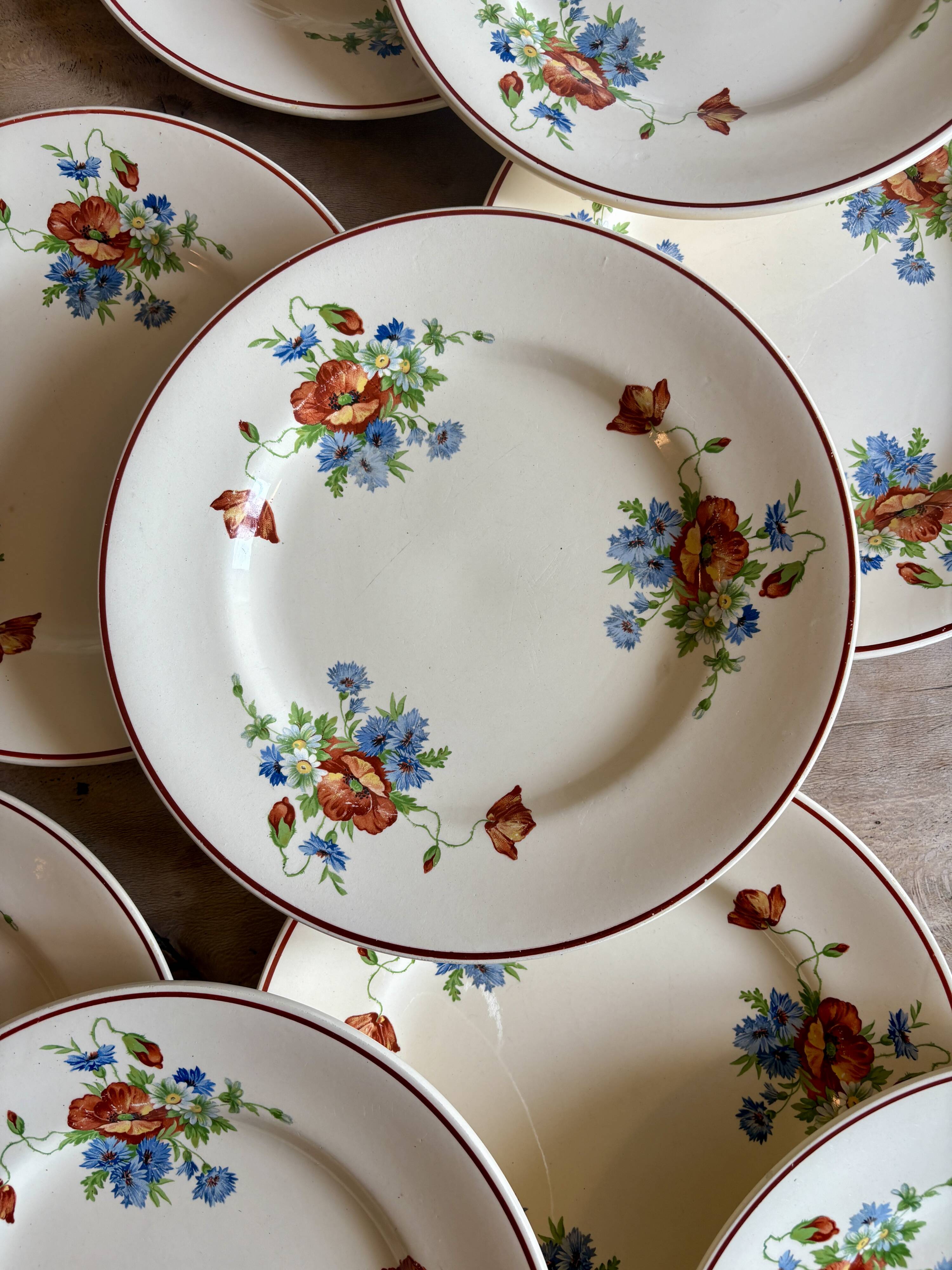 Set of 12 old flat plates with flower decorations - Salins
