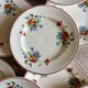 Set of 12 old flat plates with flower decorations - Salins