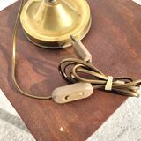 Vintage lamp with gooseneck and tulip