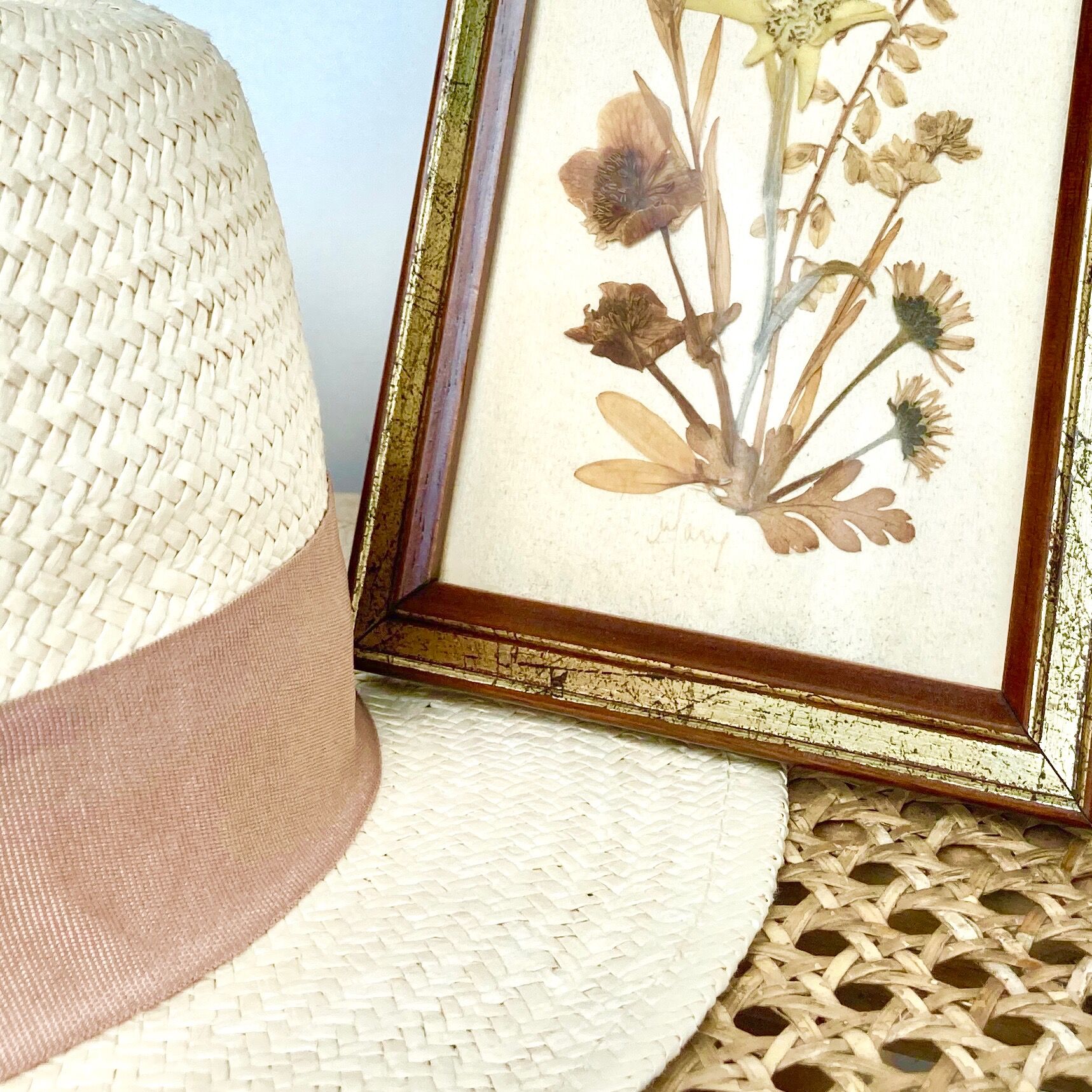 Botanical herbarium framed