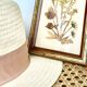 Botanical herbarium framed