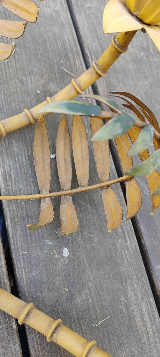 Exotic vintage lustre