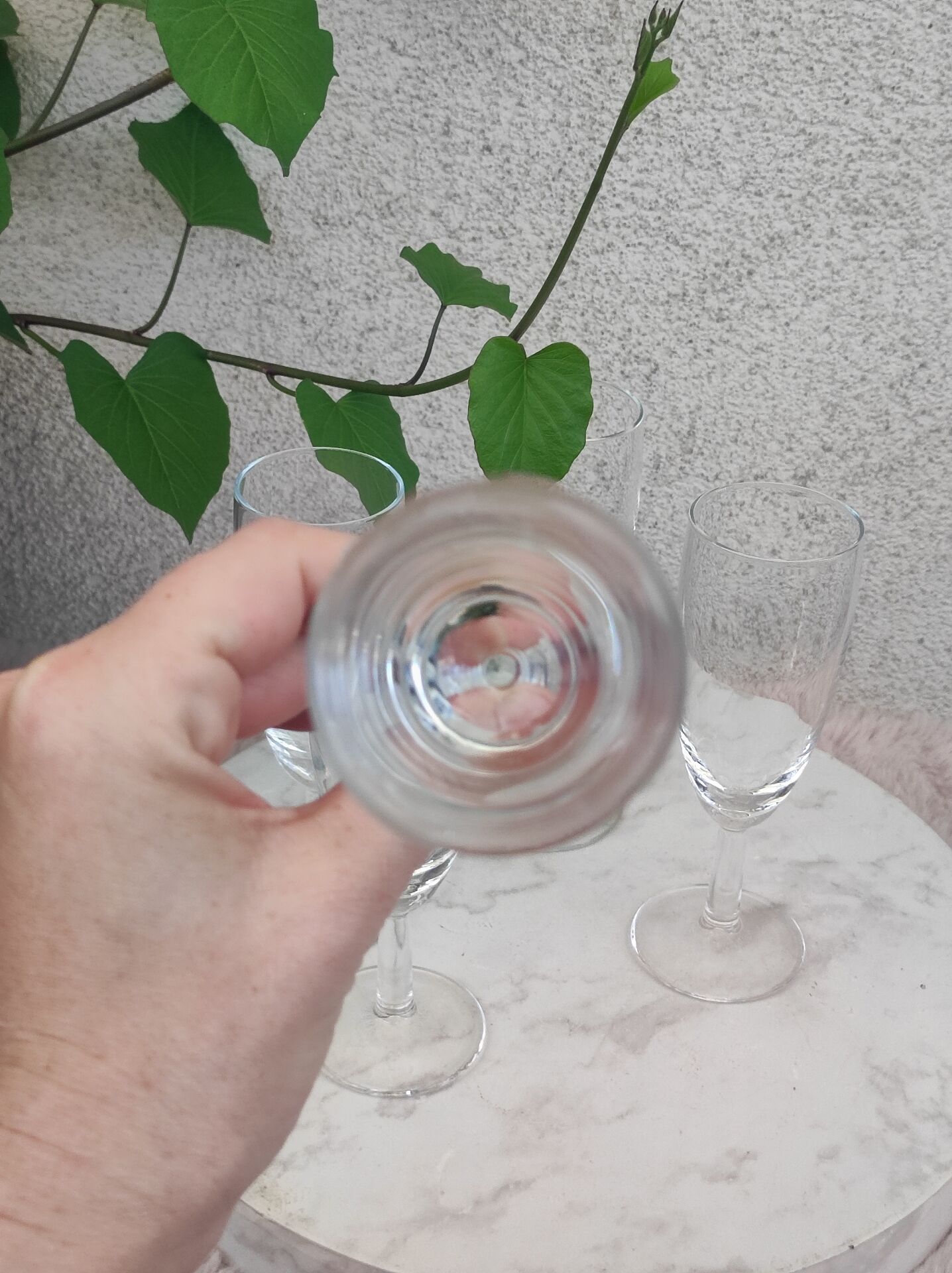 Champagne flutes