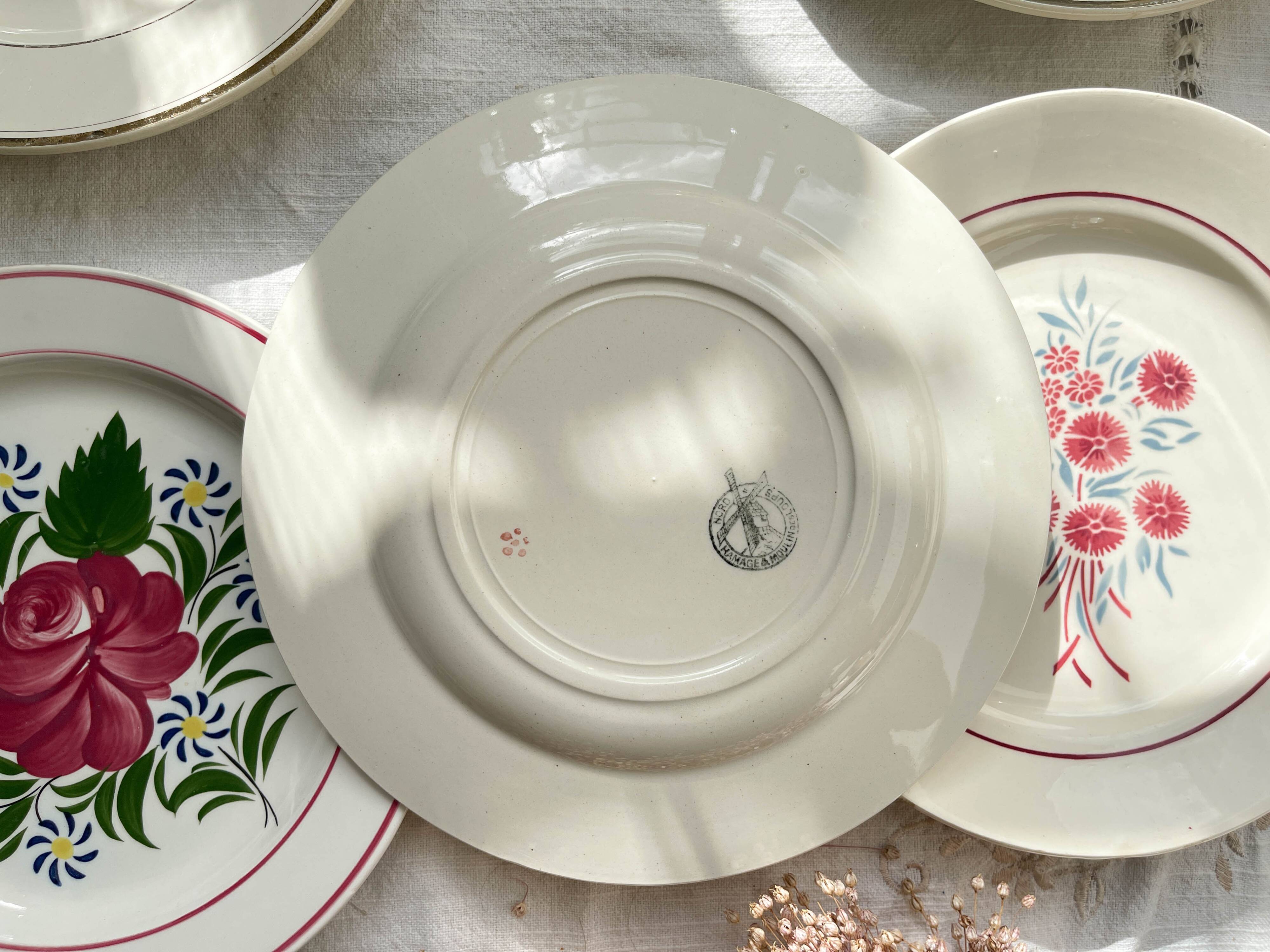 6 Mismatched Vintage Plates with Floral Pattern