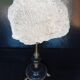 Cabinet of Curiosities 36cm coral brain of Neptune on base