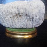 Cabinet of Curiosities Psammocora profundacel white coral on base