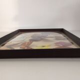 Butterflies naturalized