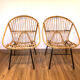 Adult rattan armchairs
