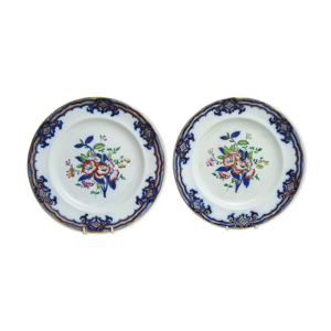 Paire d'assiettes en faïence anglaise