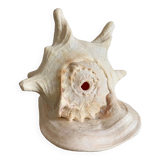 Shell horned helmet 25 cm