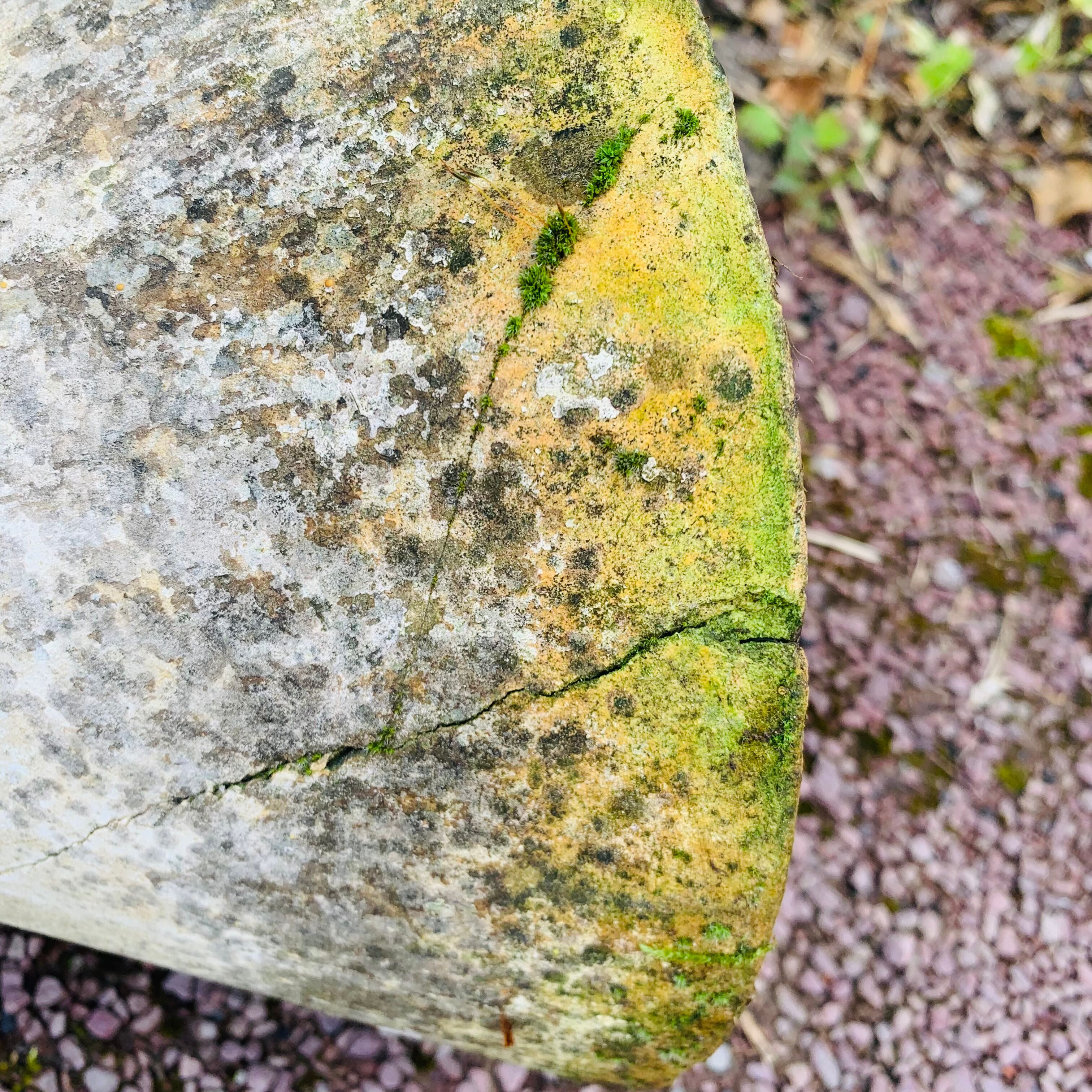 Diabolo planter by Anton Bee