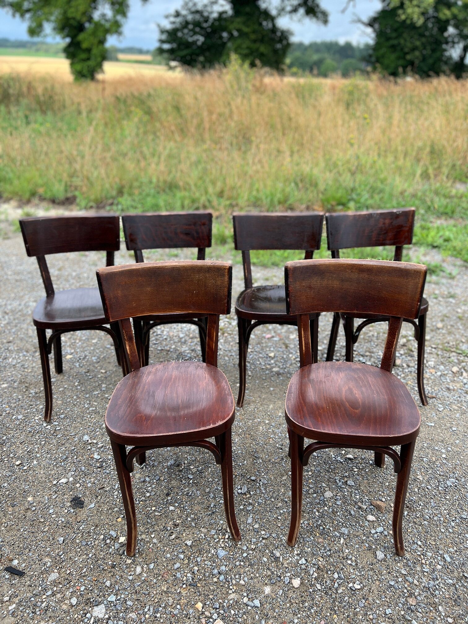 Set of 6 baumann bistro chairs classic years 50 bois fonce