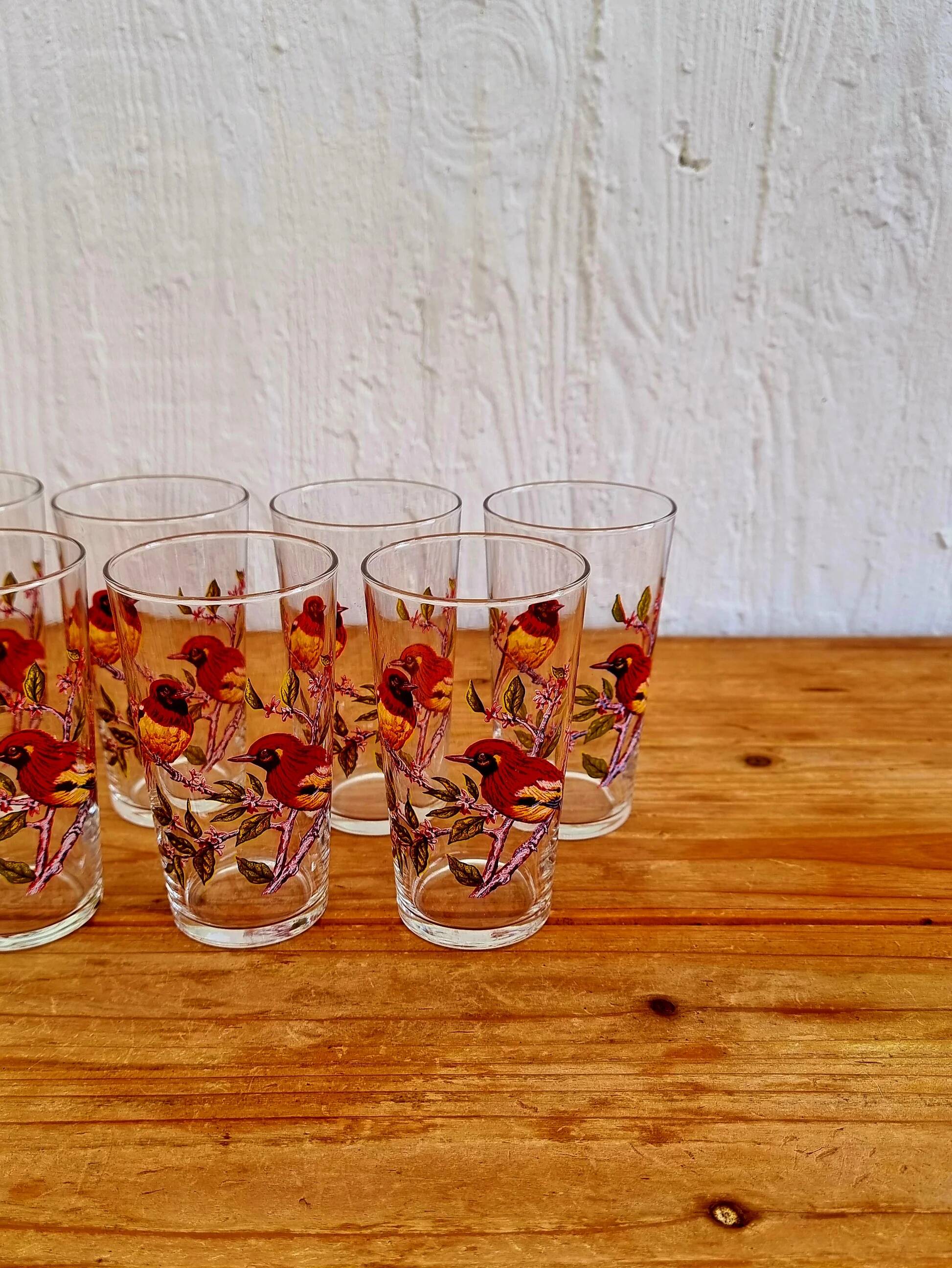 Vintage 1970s orangeade set with a jug and 8 glasses decorated with birds.