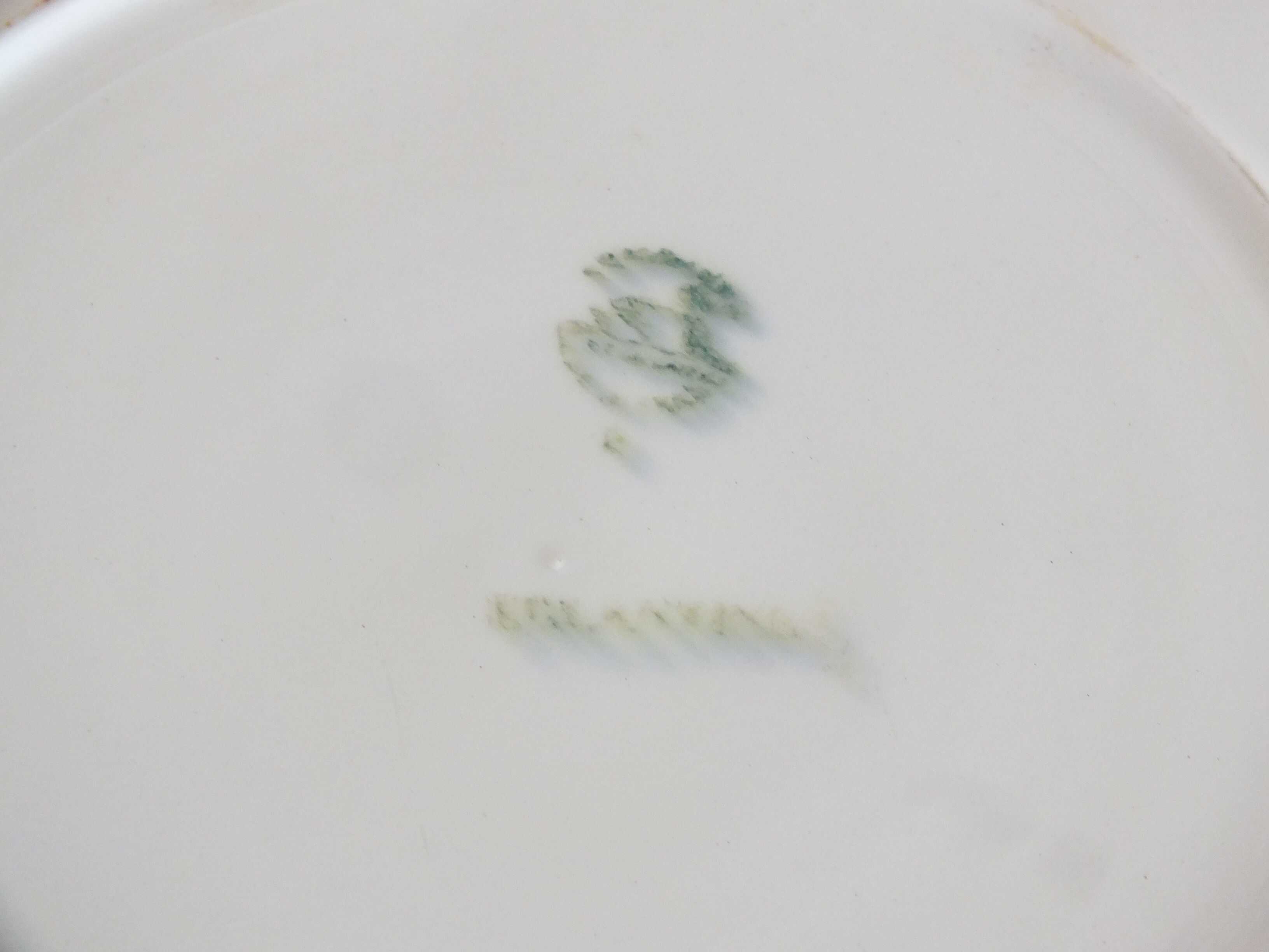 + Hollow dish Céranord Saint Amand model Eglantines +