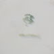 + Hollow dish Céranord Saint Amand model Eglantines +