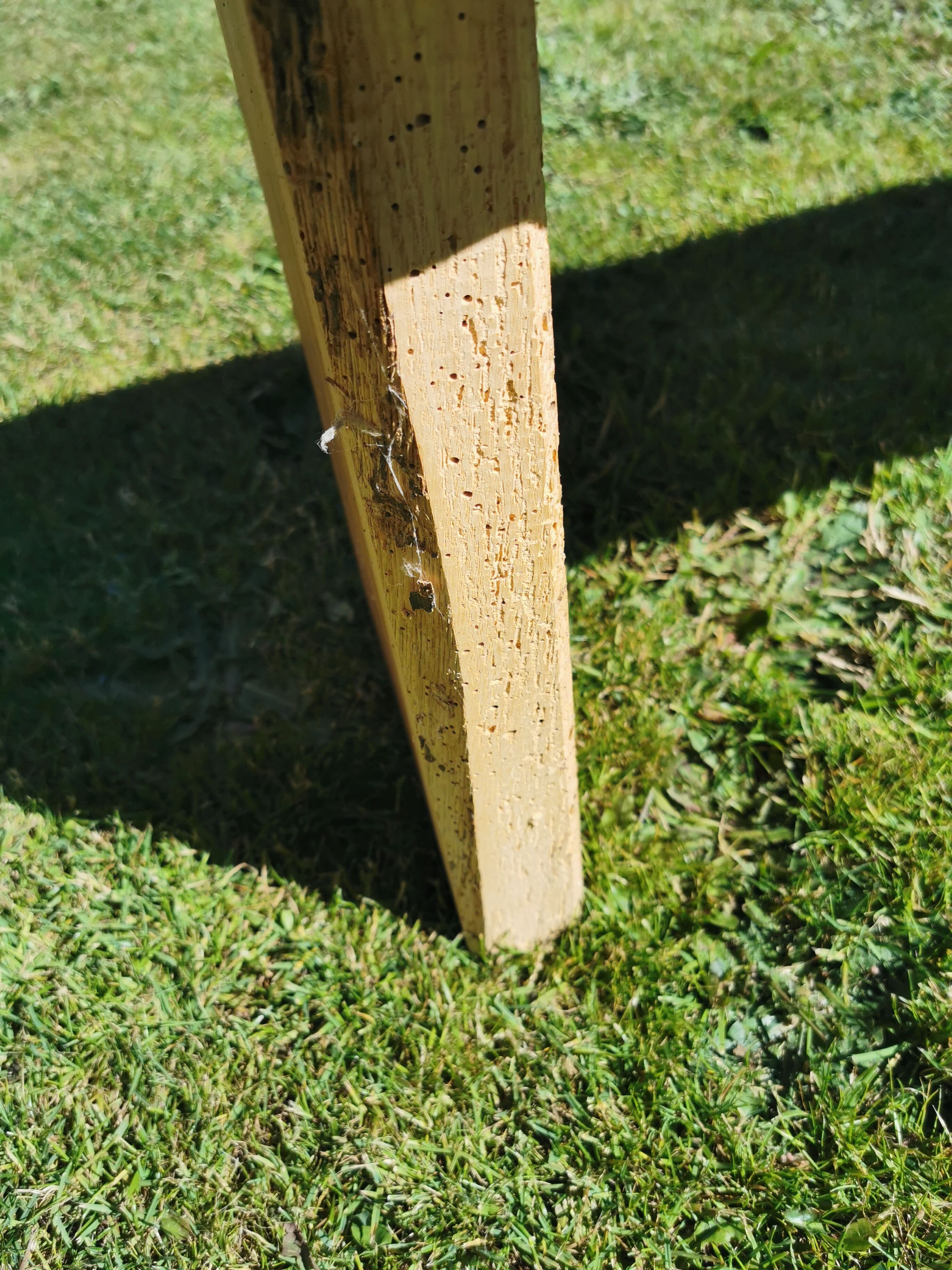 Old brutalist art bench, in natural raw oak