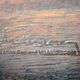 Table basse PAR  par Bernard Vuarnesson