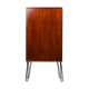 Vintage Rosewood Cabinet, 1960s