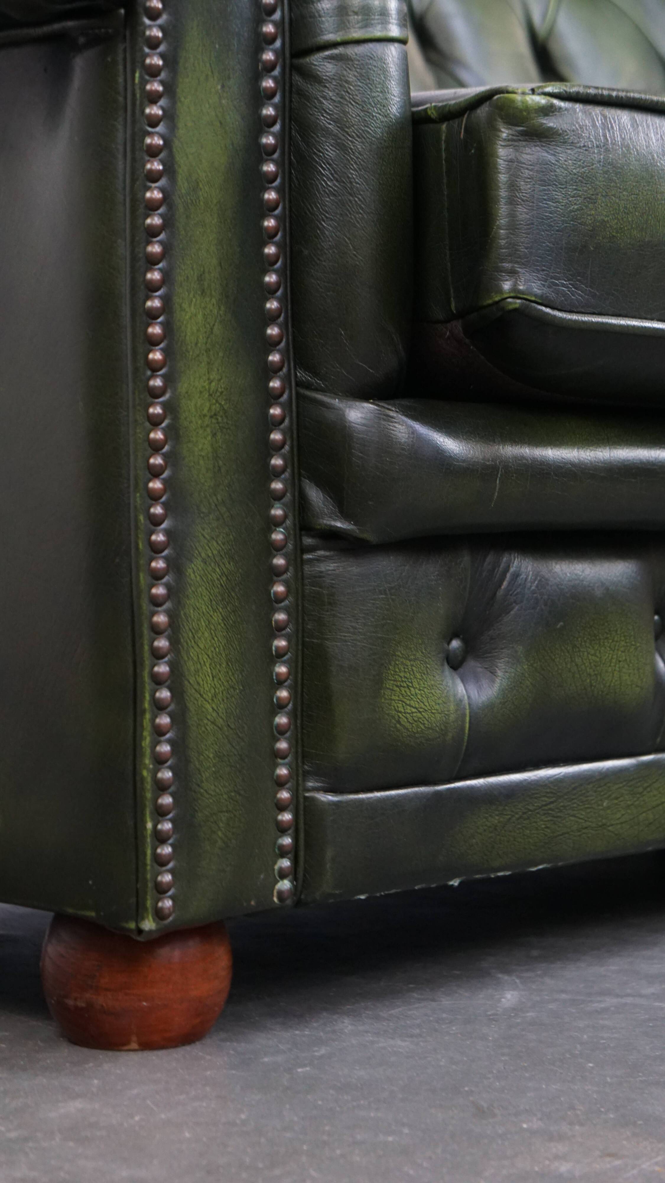 English Chesterfield 2-seater sofa in green cowhide leather