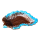 Plat vallauris
