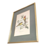 Lithograph birds by J. Gould and H-C Richter golden frame
