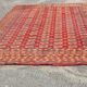 Tapis boukhara  344x246 cm