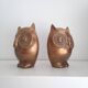 Pair of large brass owl bookends