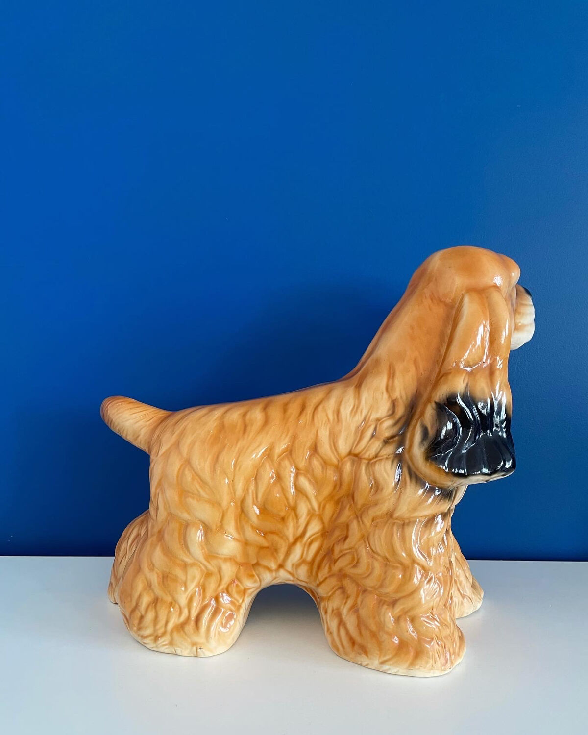 English Cocker Spaniel Dog Status