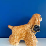 English Cocker Spaniel Dog Status