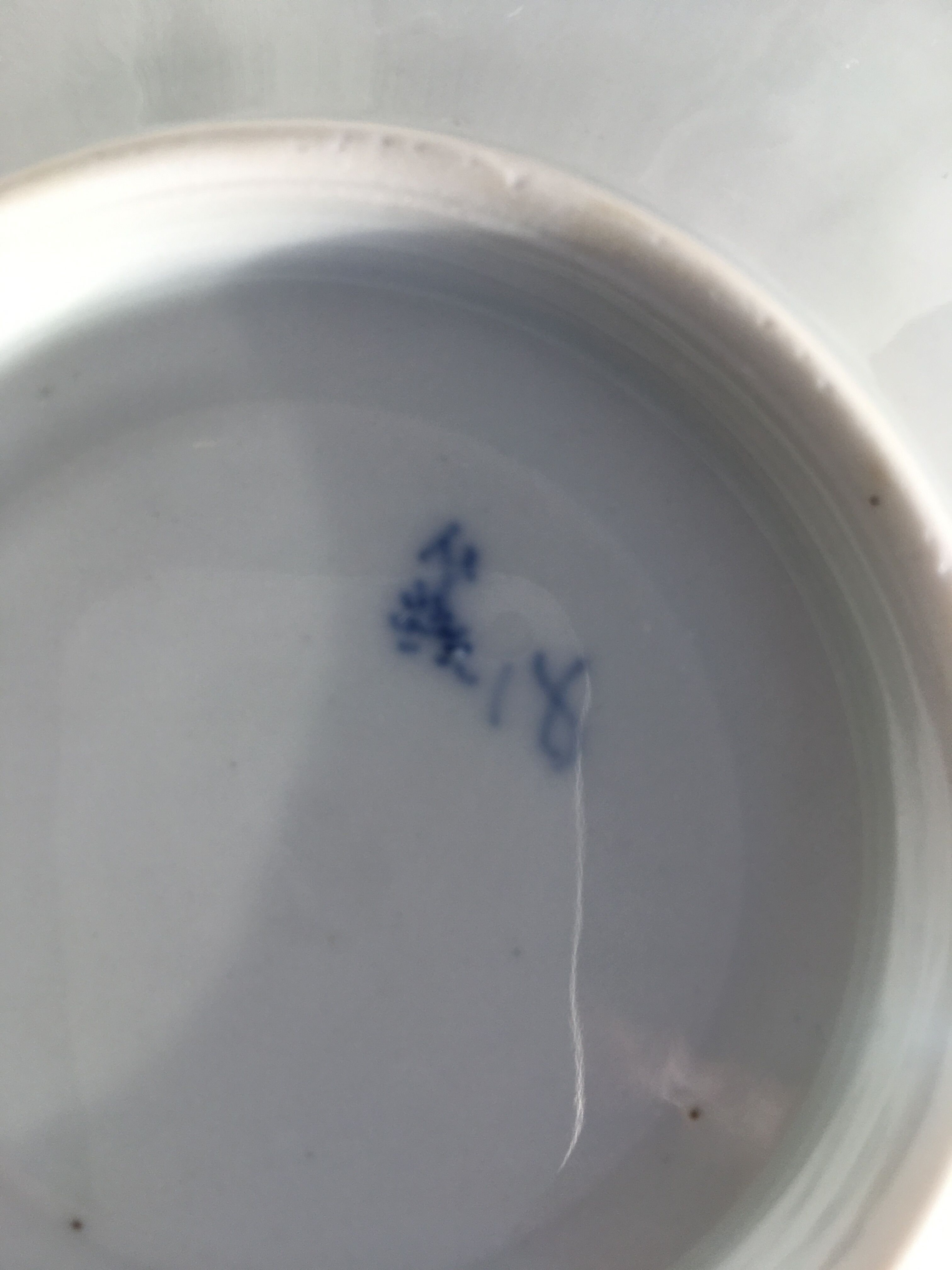 Porcelain cup and saucer winterling schwarzenbach bavaria