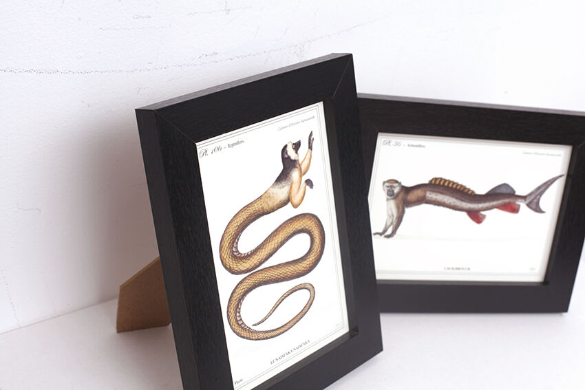 Set of 2 framed chimera lithograph animal engraving