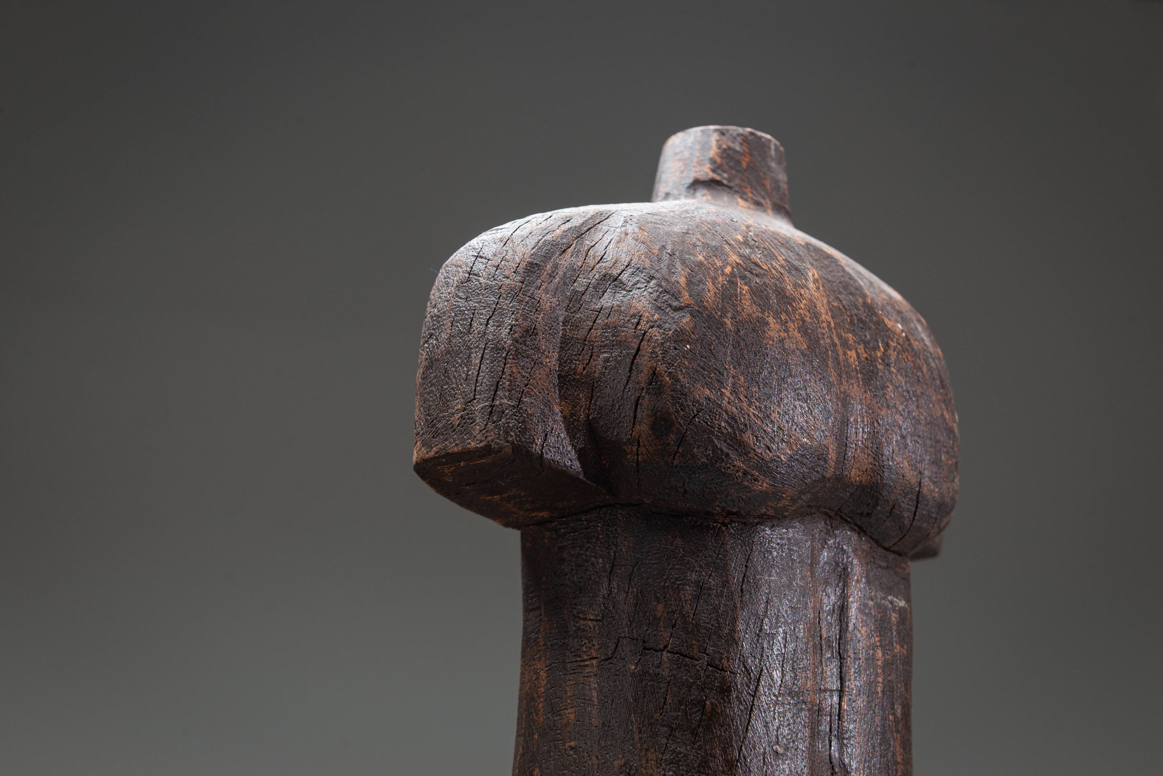 Abstract solid wood torso