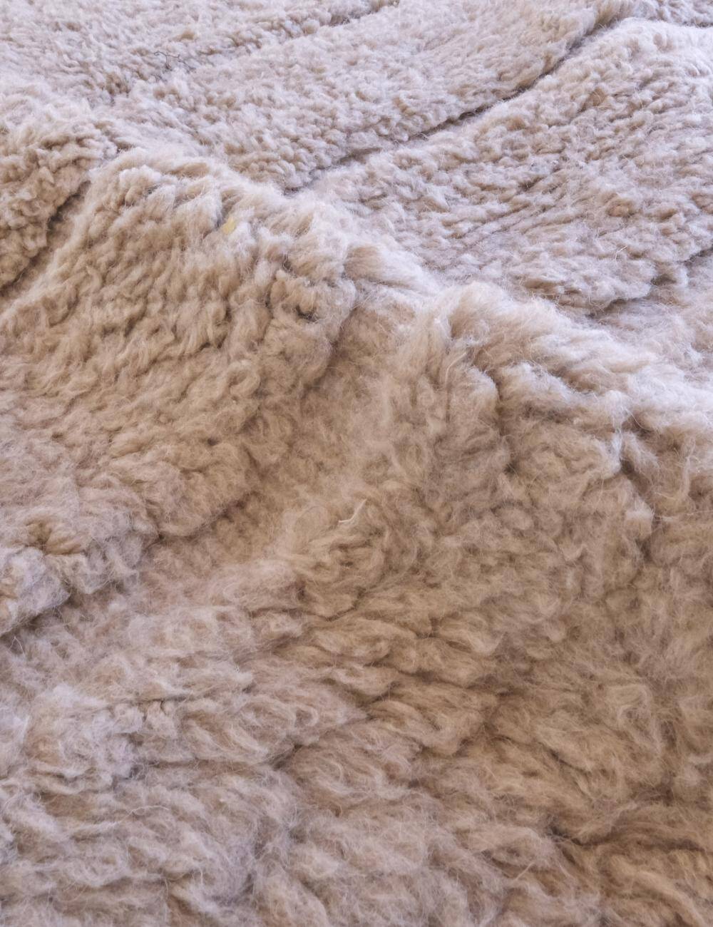 Contemporary Taupe Rug - 342 x 242 cm