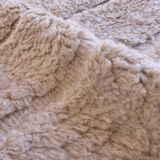 Contemporary Taupe Rug - 342 x 242 cm