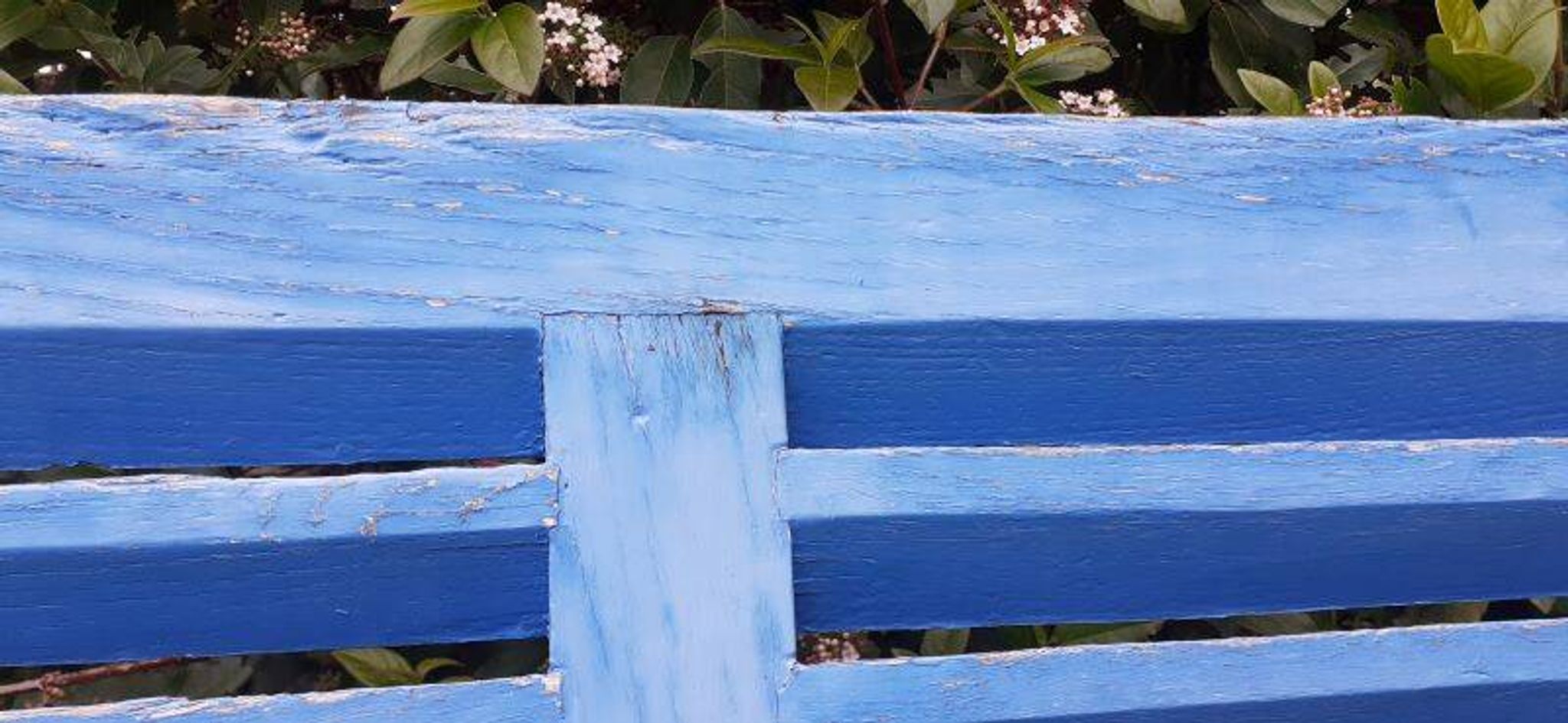 Petit volet  L75xH101cm bleu à persiennes