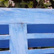 Petit volet  L75xH101cm bleu à persiennes
