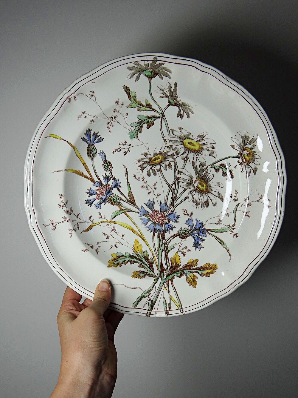 Antique Longchamp shallow dish with polychrome daisies in ironstone.
