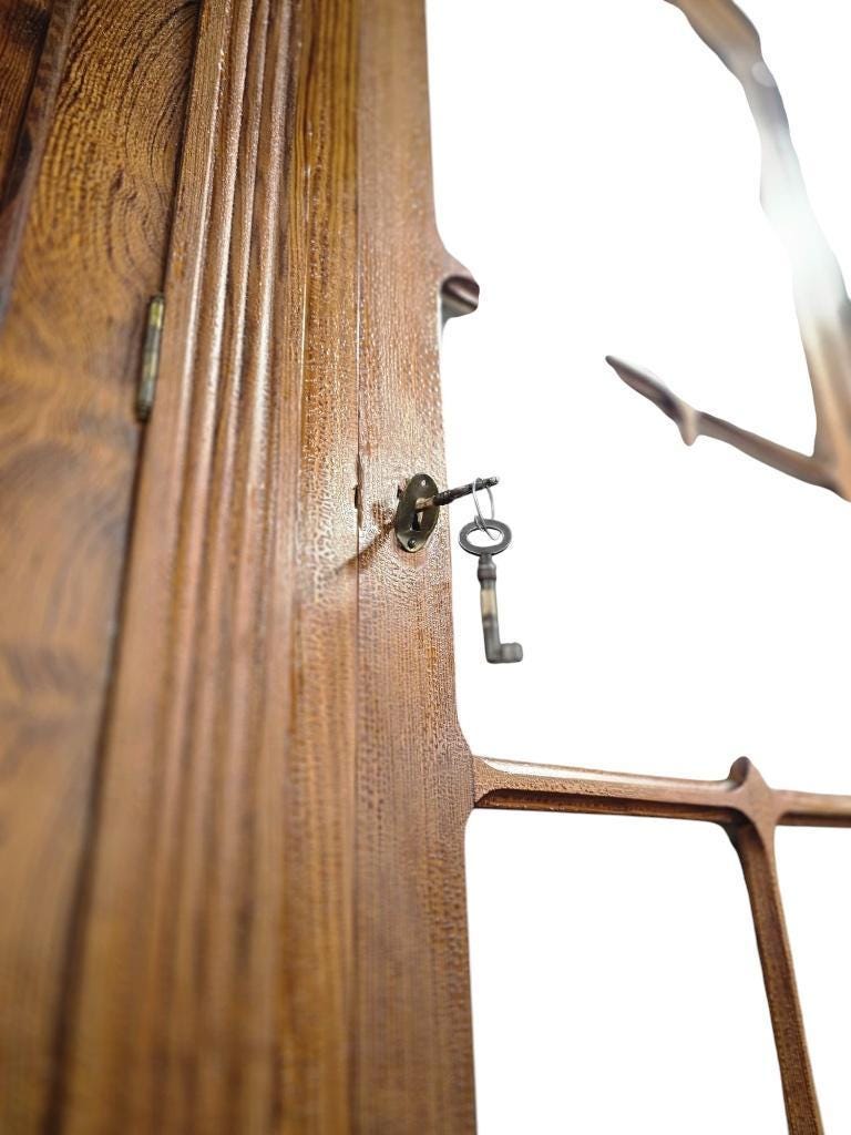 Vitrine industrielle vintage XL haute / armoire de laboratoire / armoire