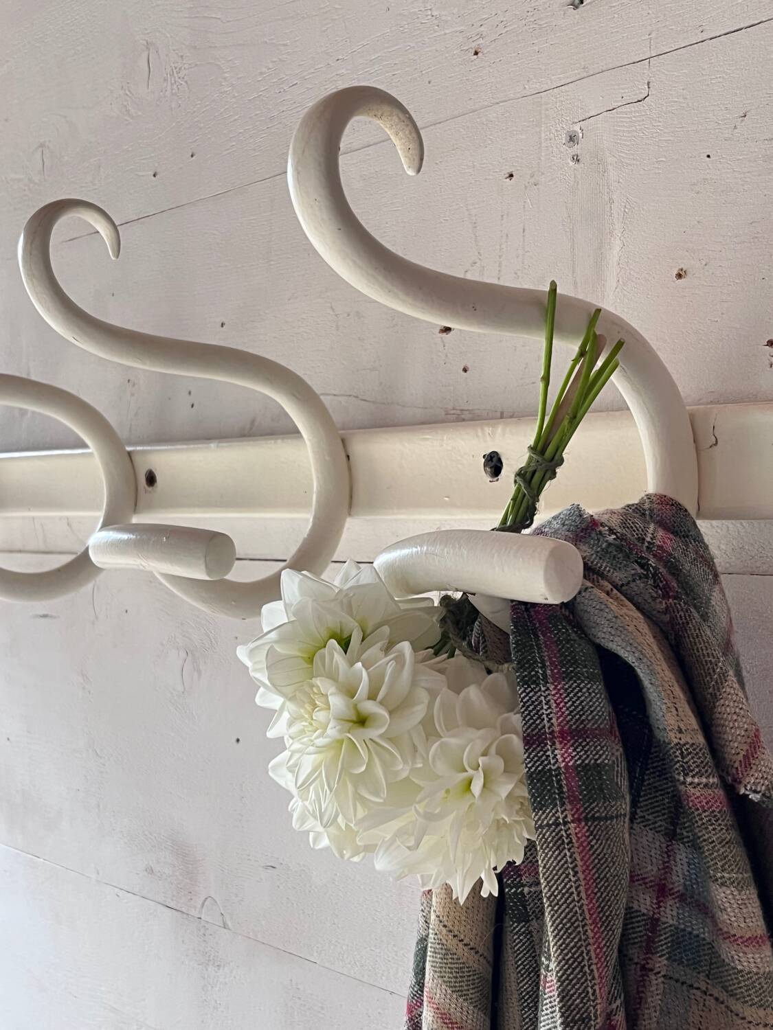 Long porte-manteau en bois courbé blanc