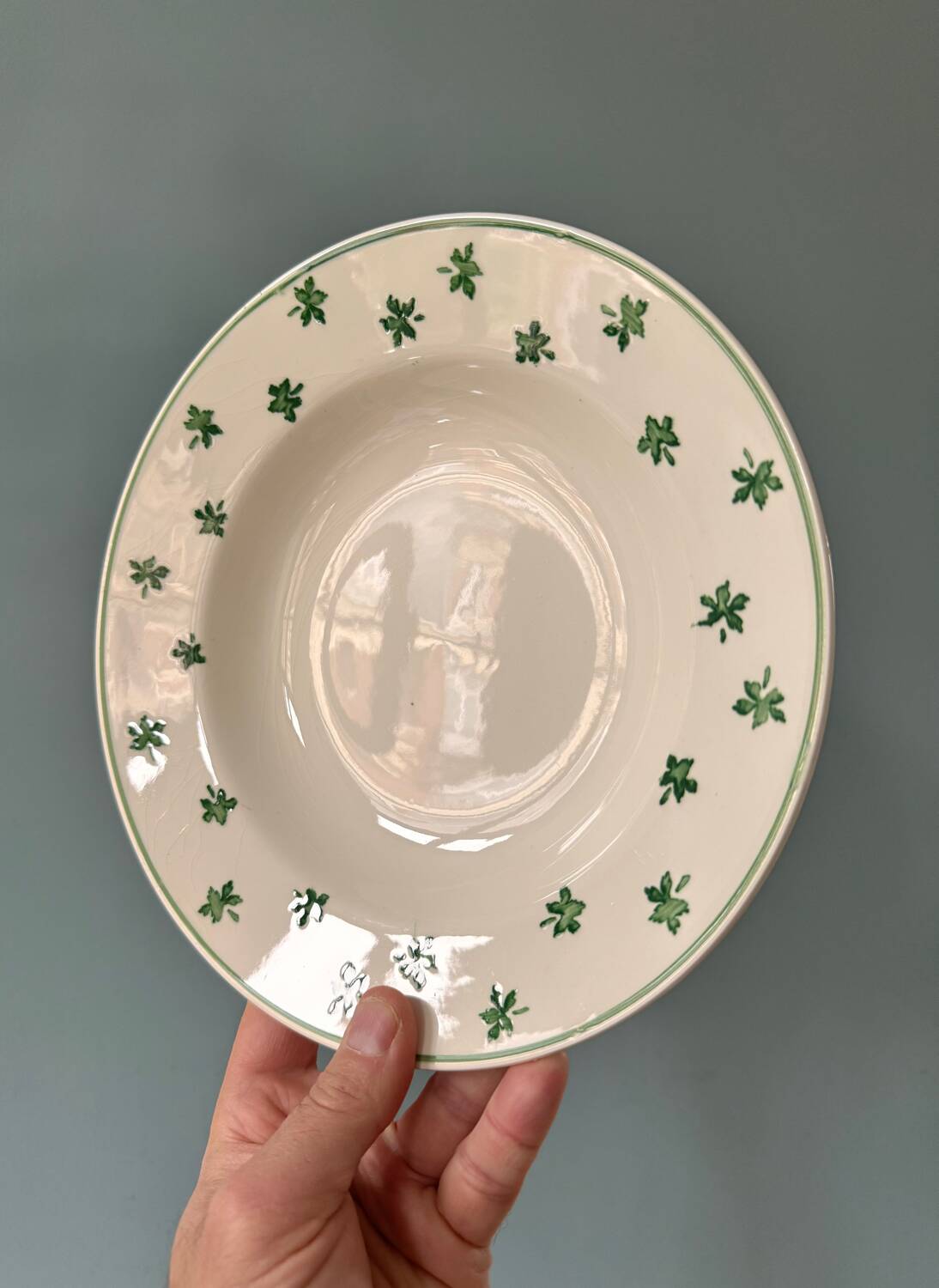 Set of 7 Digoin Sarreguemines earthenware soup plates