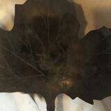 Empty metal maple leaf pocket