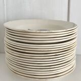 Set of 20 Digoin soup plates, blue rose patterns